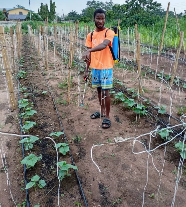 Hands-on Practical Session