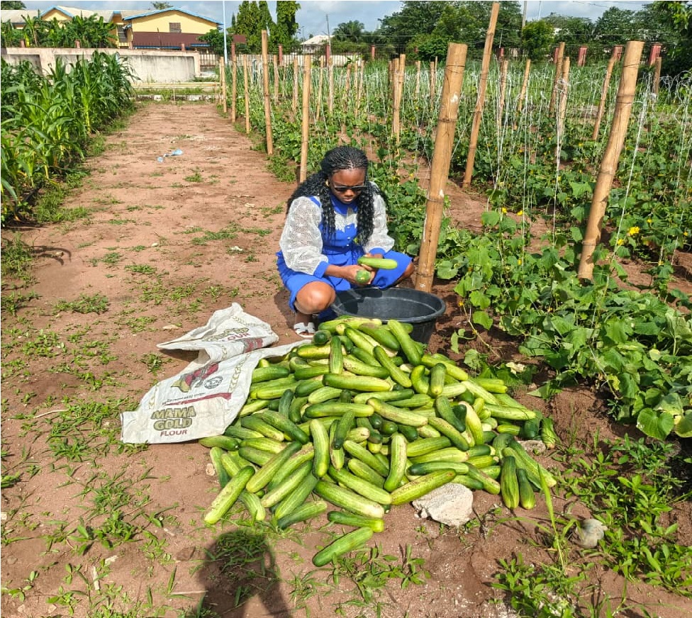 Youth Empowerment Program